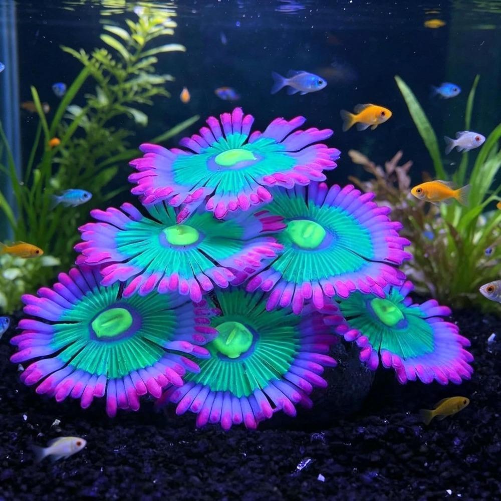 Marine Aquarium All In One - Glowing Soft Aquarium Fish Tank Decorations