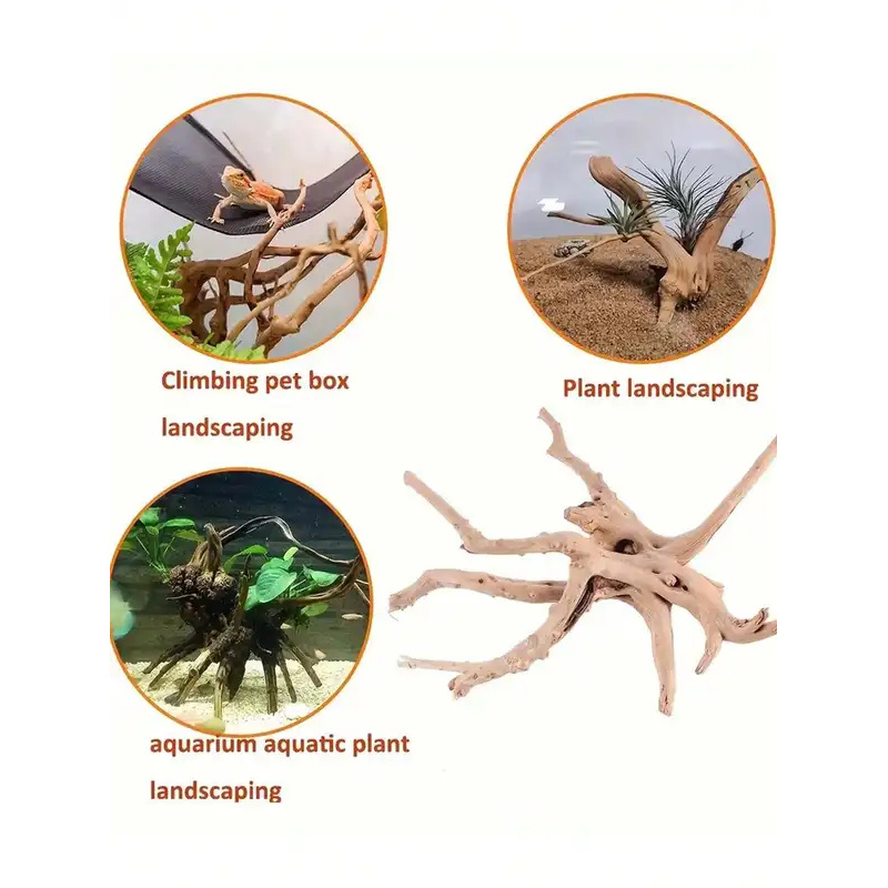 Natural Driftwood for Aquarium - Marine Aquarium All In One 评论和价格