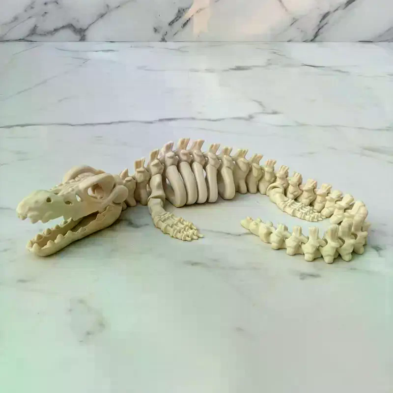 1pcs Dinosaur Skeleton Model F - Marine Aquarium Home 评论和价格