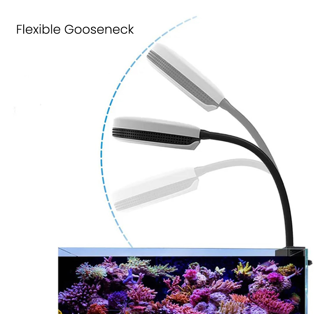 Spectra SP20 20W Aquarium LED  - Aquarium Marine Fishes 评论和价格