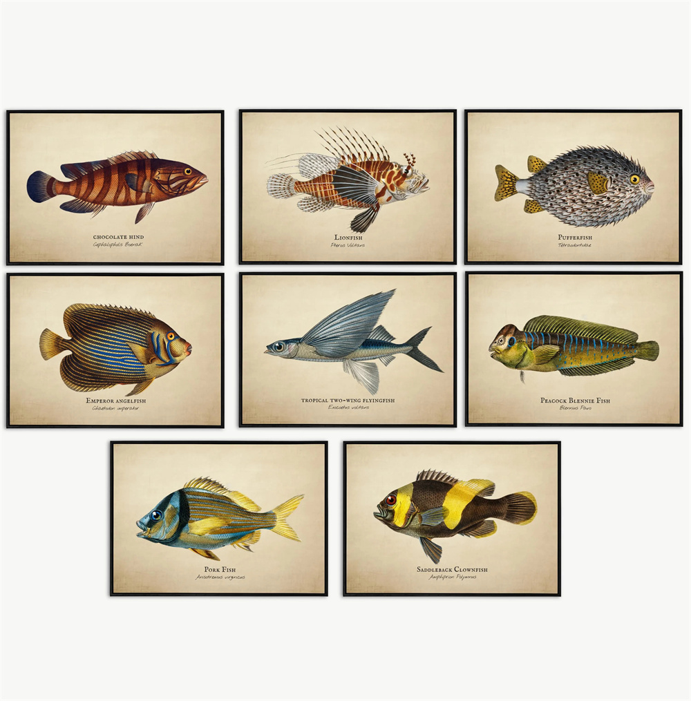 Vintage Pictures Tropical Fish - Marine Aquarium Home 评论和价格