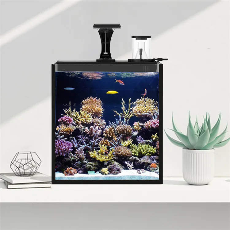 Latest Model Clear Glass Mini  - Aquarium Marine Salt 评论和价格