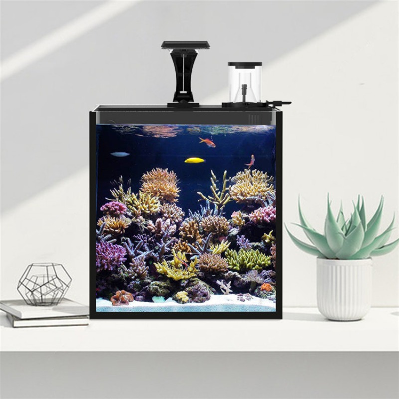 Ultra-transparent glass mini s - Aquarium Marine Salt 评论和价格