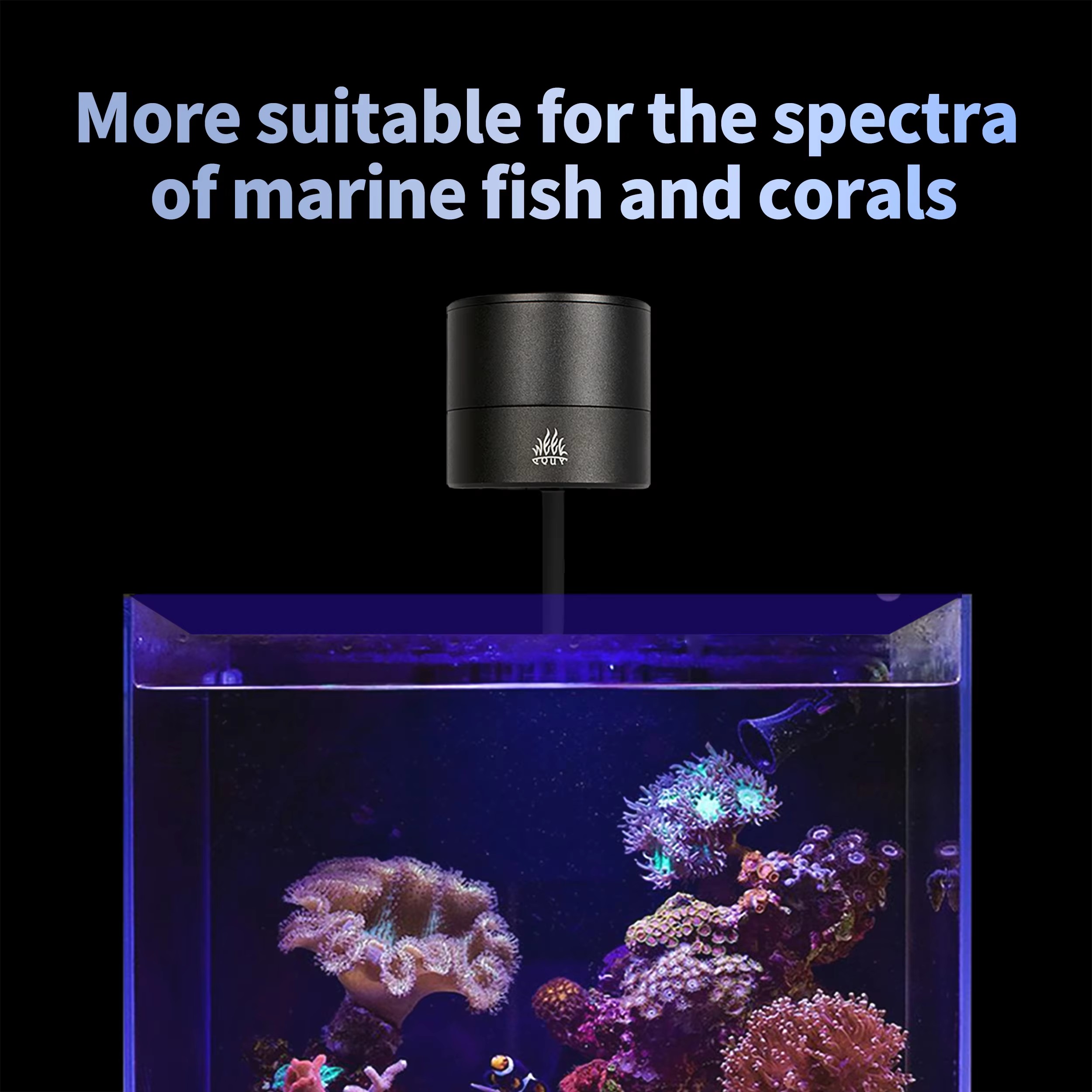 WEEK AQUA Aquarium Light Manuf - Aquarium Marine Salt 评论和价格