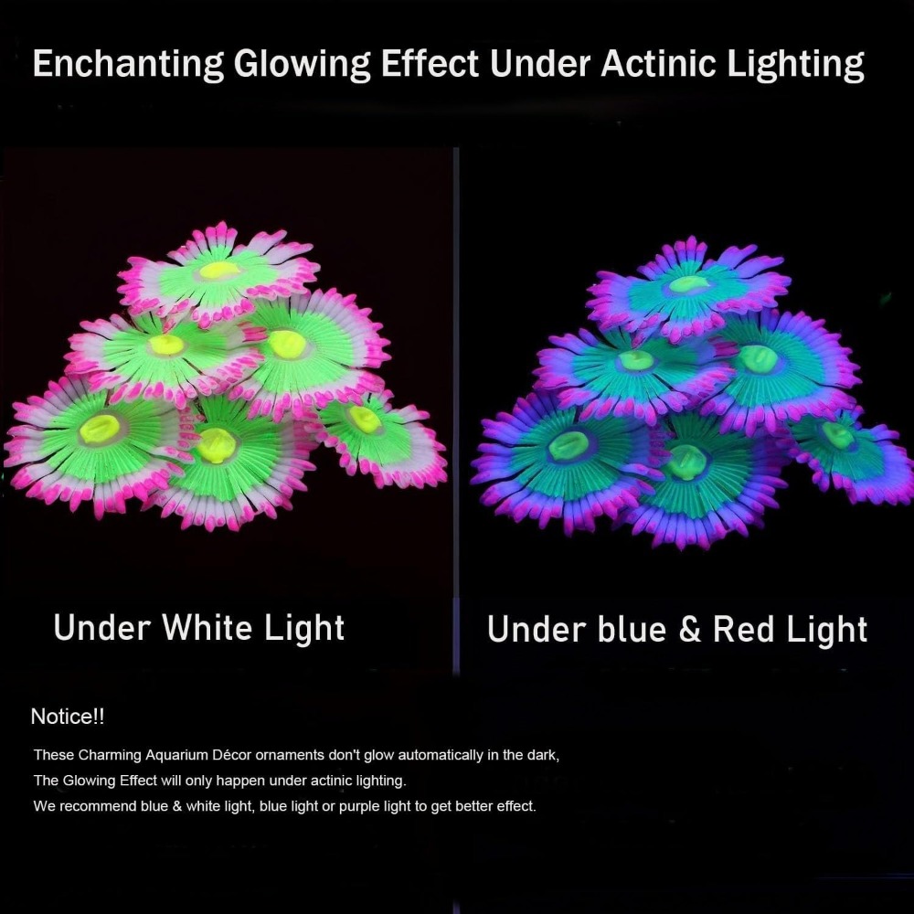 Glowing Soft Aquarium Fish Tan - Marine Aquarium All In One 评论和价格