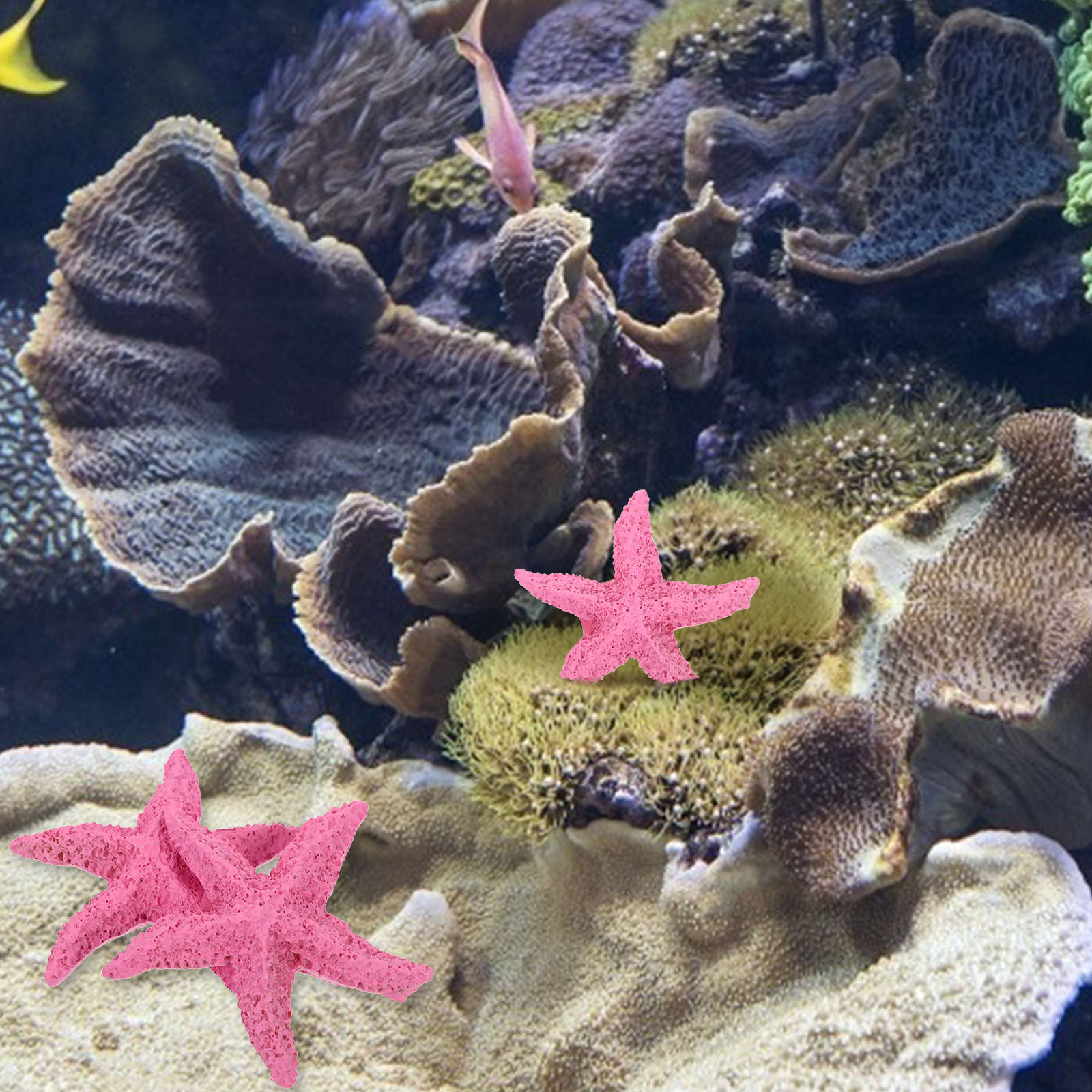 2Pcs Artificial Marine Animals - Marine Aquarium Home 评论和价格