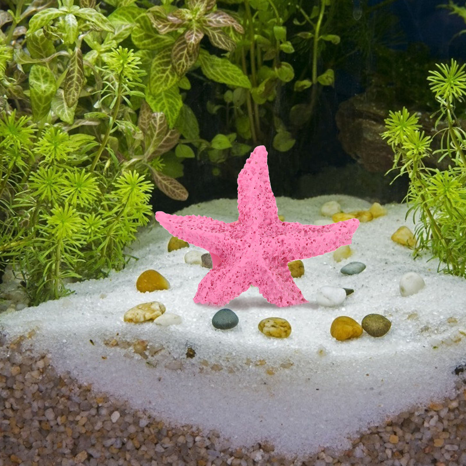 2Pcs Artificial Marine Animals - Marine Aquarium Home 评论和价格