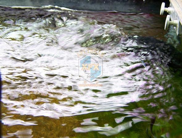 sunsun Jvp-200 newest waver ma - Aquarium Marine Salt 评论和价格