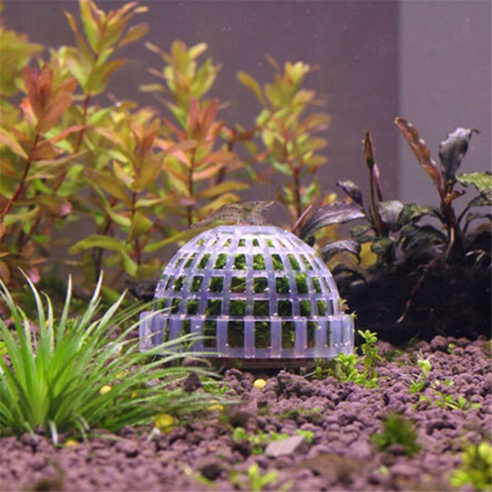 New Plastic Suspension Moss Do - Marine Aquarium All In One 评论和价格
